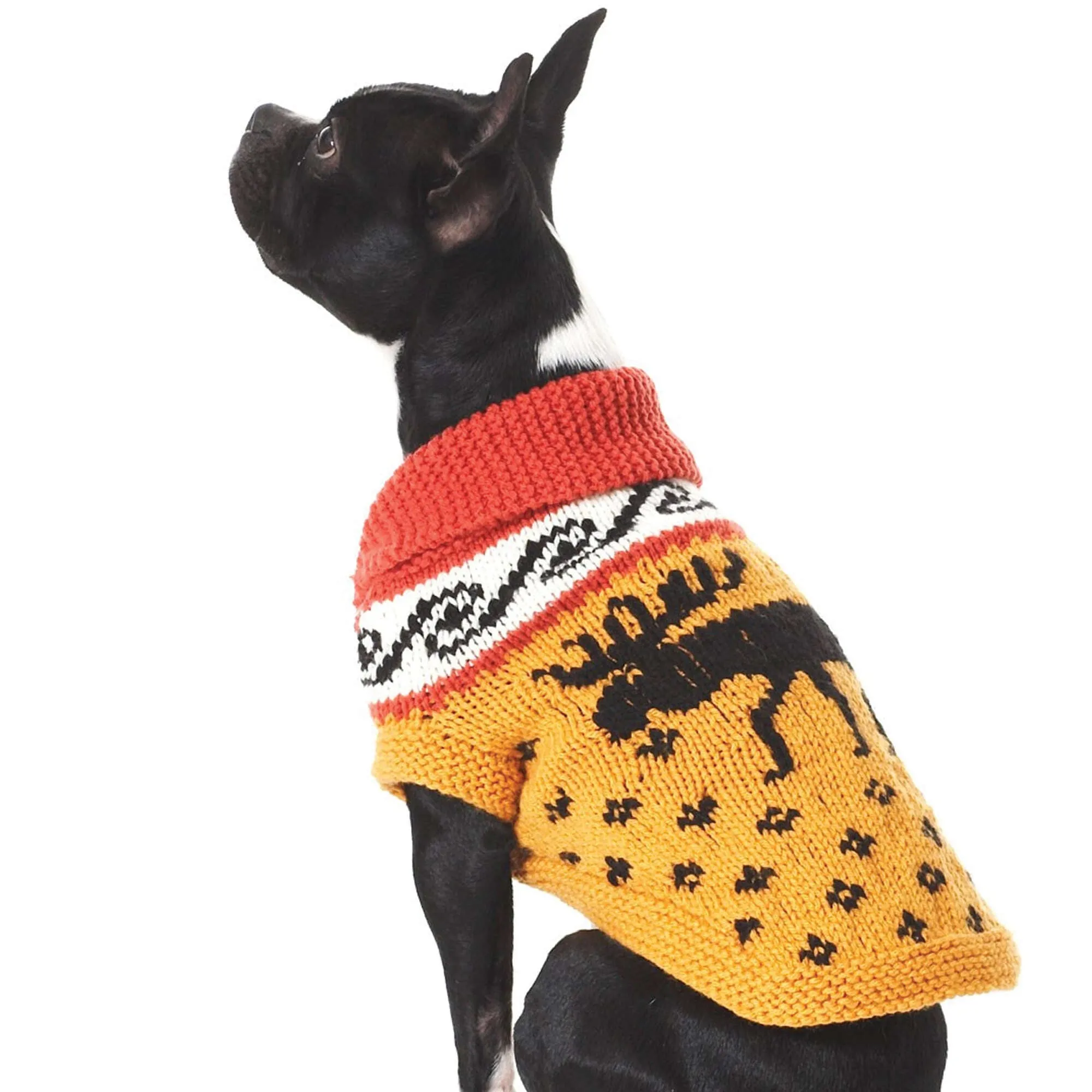 Bernat Knit Cowichan Style Dog Coat