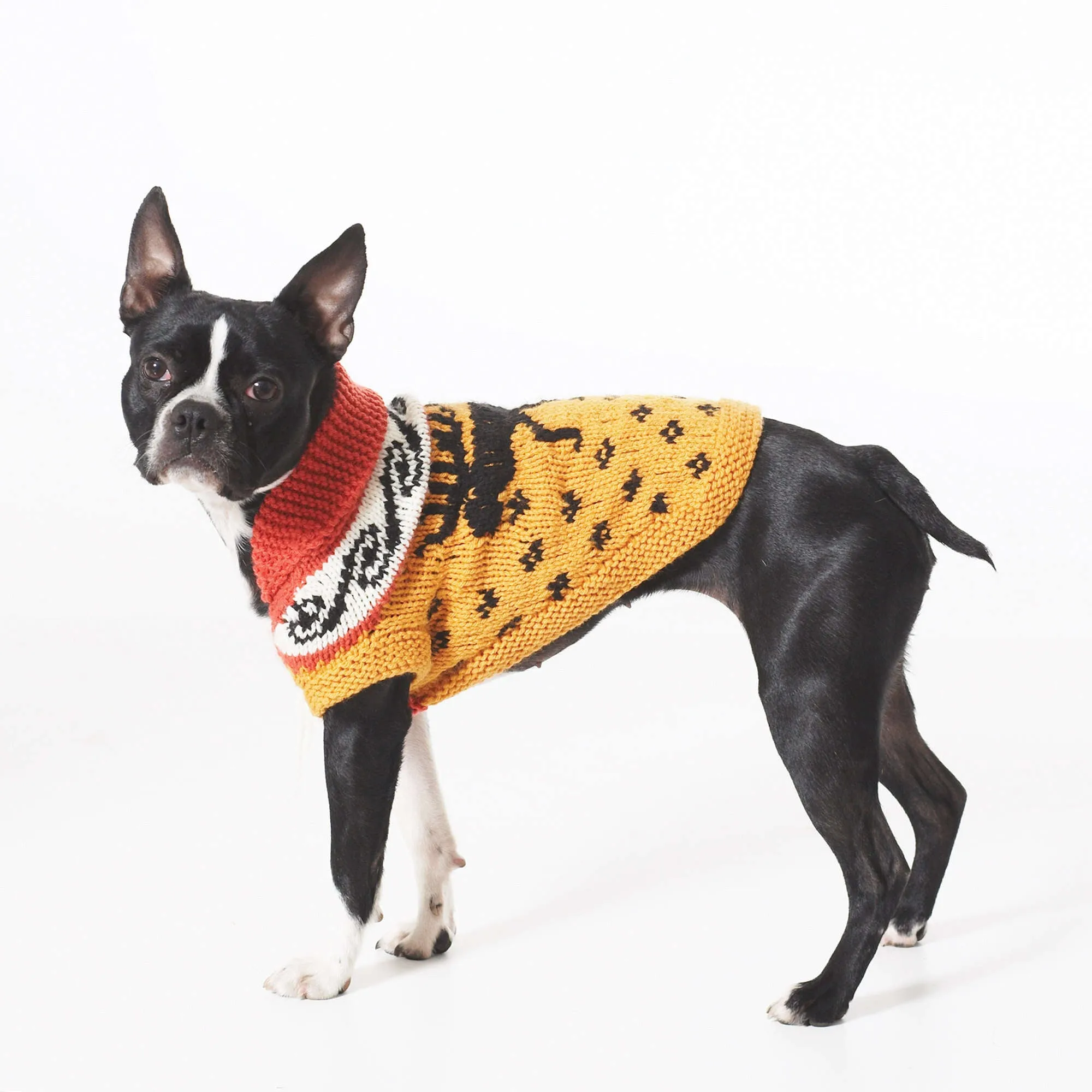 Bernat Knit Cowichan Style Dog Coat