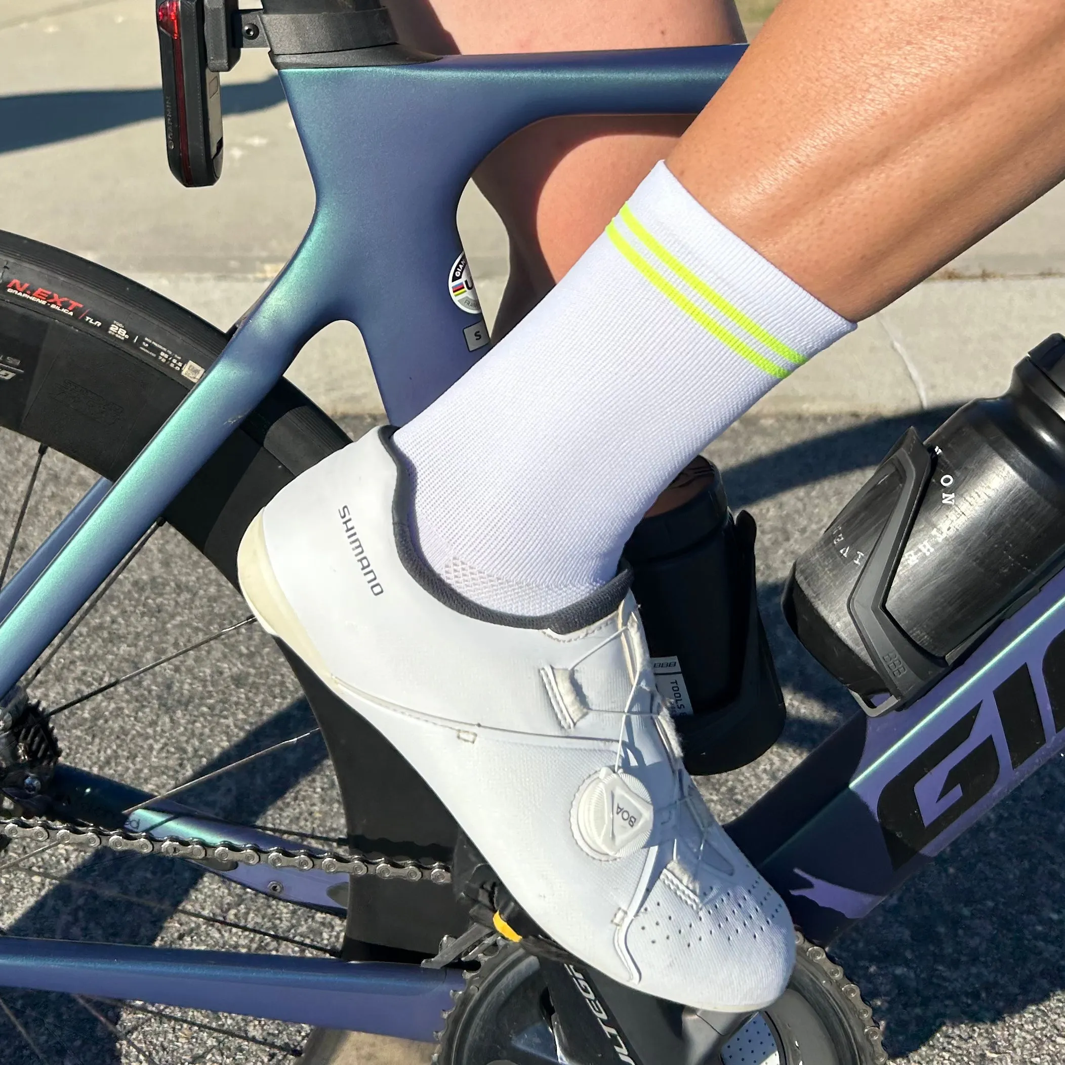 Classic Stripe Socks (White/Fluro)