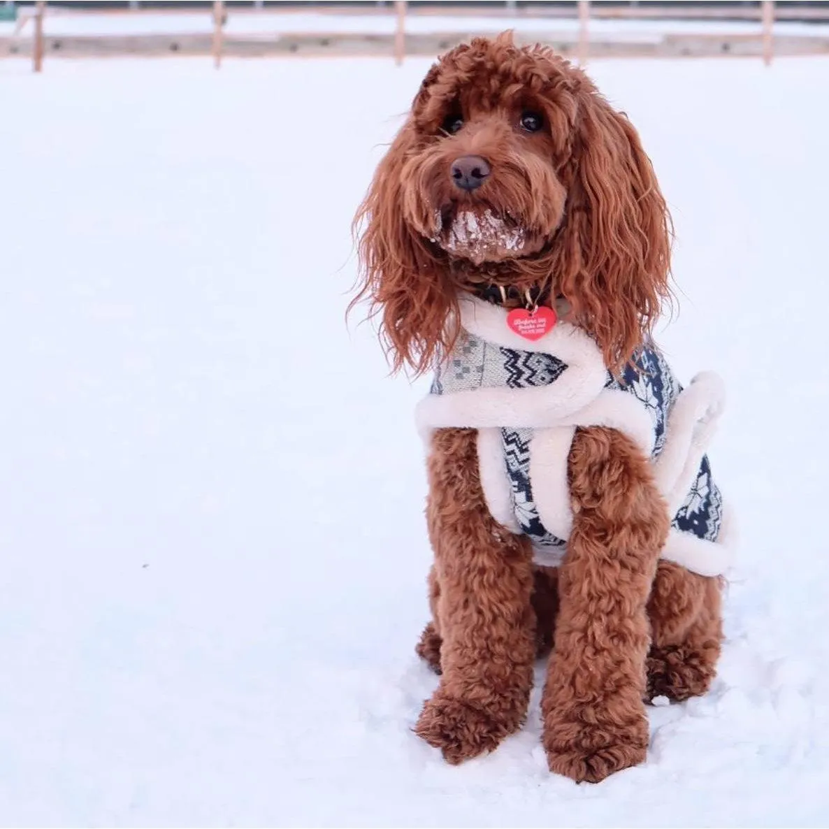 Fabdog | Blue Fairisle Tahoe Lodge Shearling Dog Coat