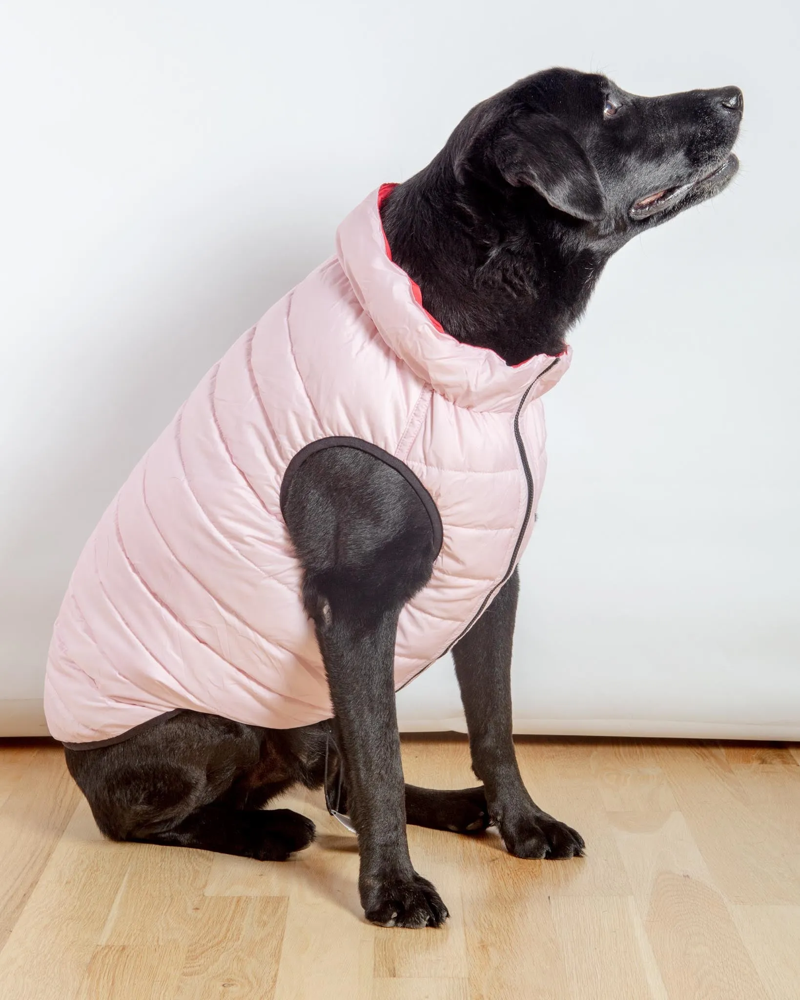 Reversible AiryVest in Strawberry   Blush (DOG & CO. Exclusive) (FINAL SALE)