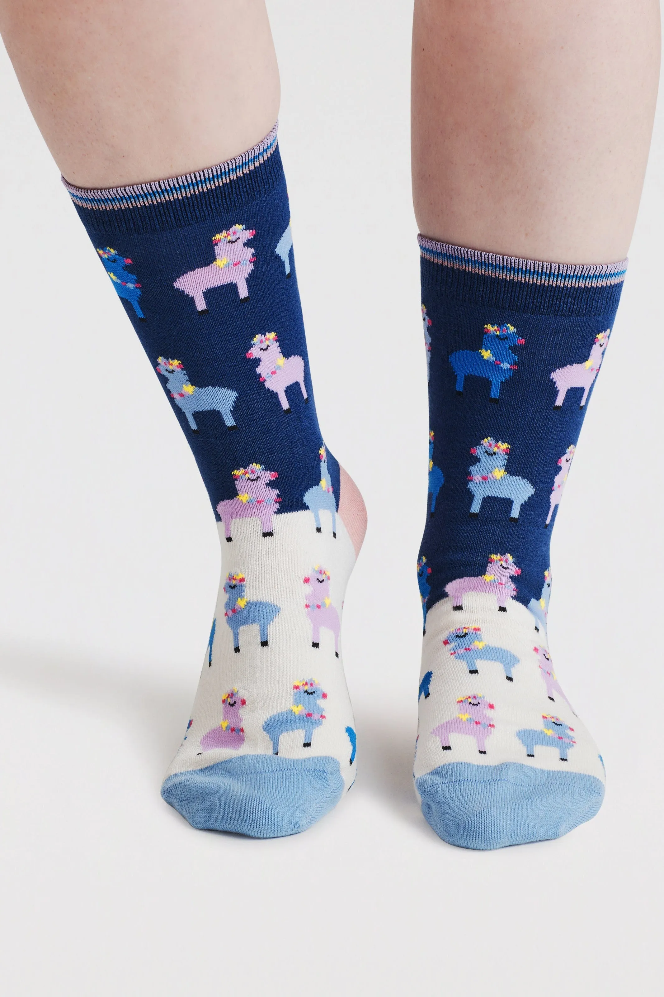 Thought Clara Rainbow Llama Organic Cotton Socks - Violet Blue