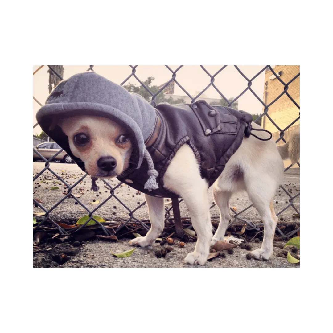 Vintage Bomber Jacket